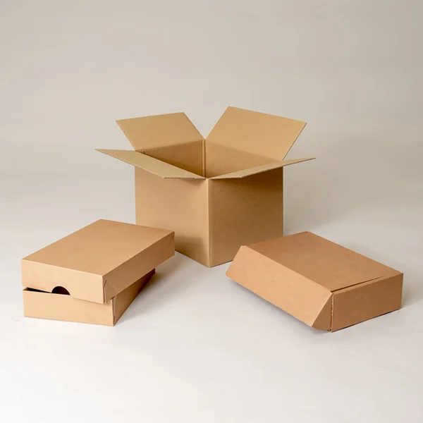 Corrugated Box with Lids